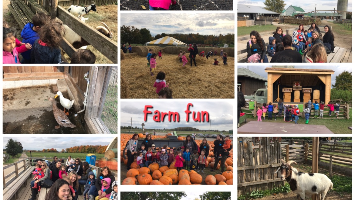 Fall Fun at the Farm