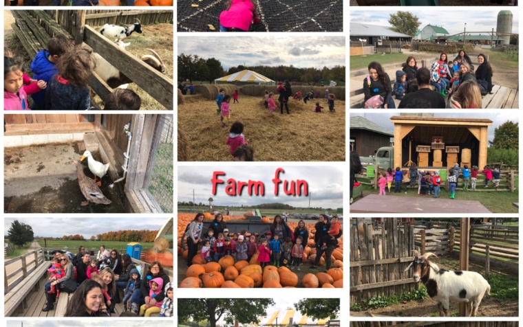 Fall Fun at the Farm